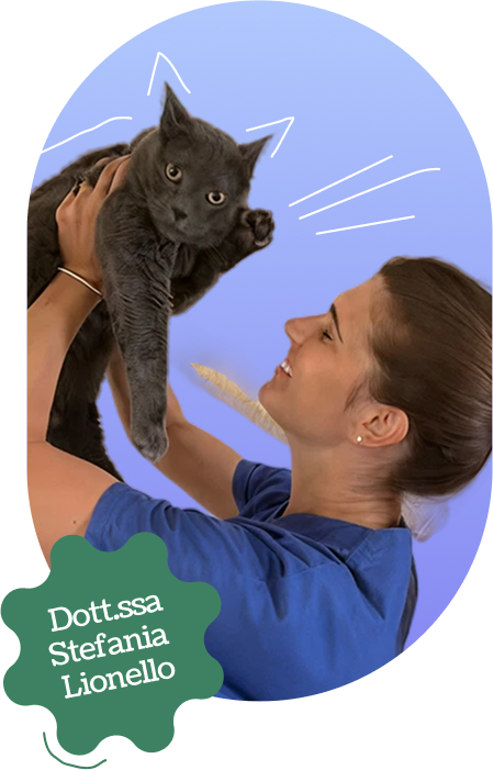 Stefania Lionello nutrizionista cane gatto durante una consulenza